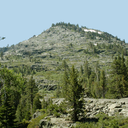 Desolation wilderness ... trees gain toehold in the granite