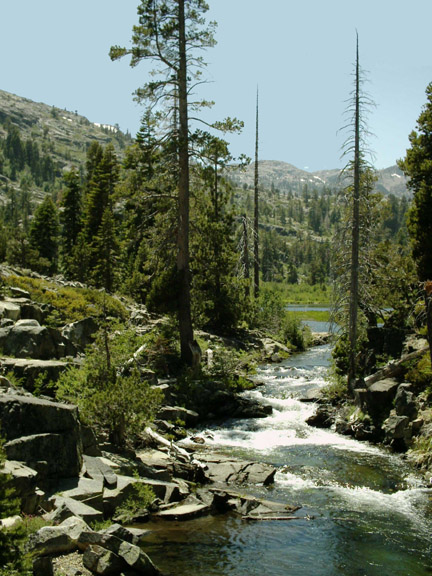 Glen Alpine Creek flowing down from Lily Lake