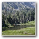 [Along the Glen Alpine trail Jun 2004]