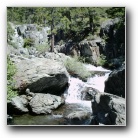 [Along the Glen Alpine trail Jun 2004]