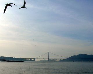 QM2 into the Golden Gate