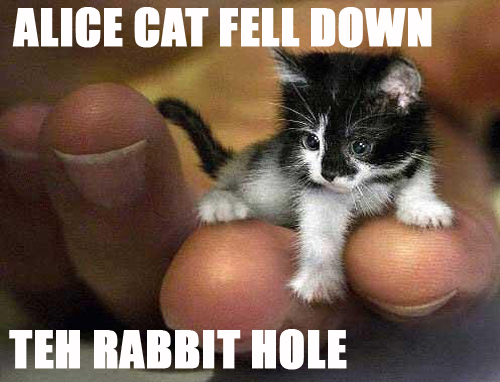 http://www.towse.com/blogger/uploaded_images/alice-cat-fell-down-teh-rabbit-hole.jpg