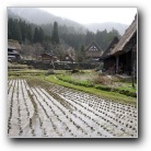 Japan - Shirakawago