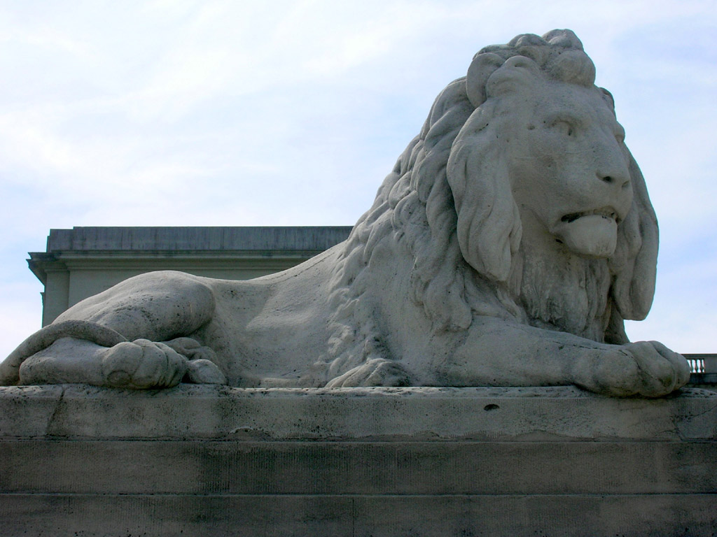 Legion of Honor - grumpy lion