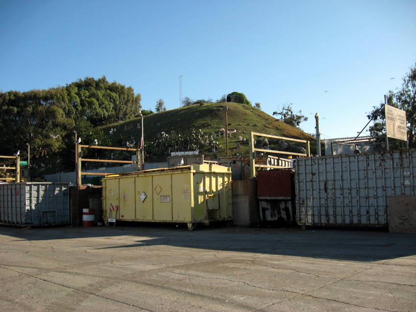 dpw bins and sculpture garden on hill behind